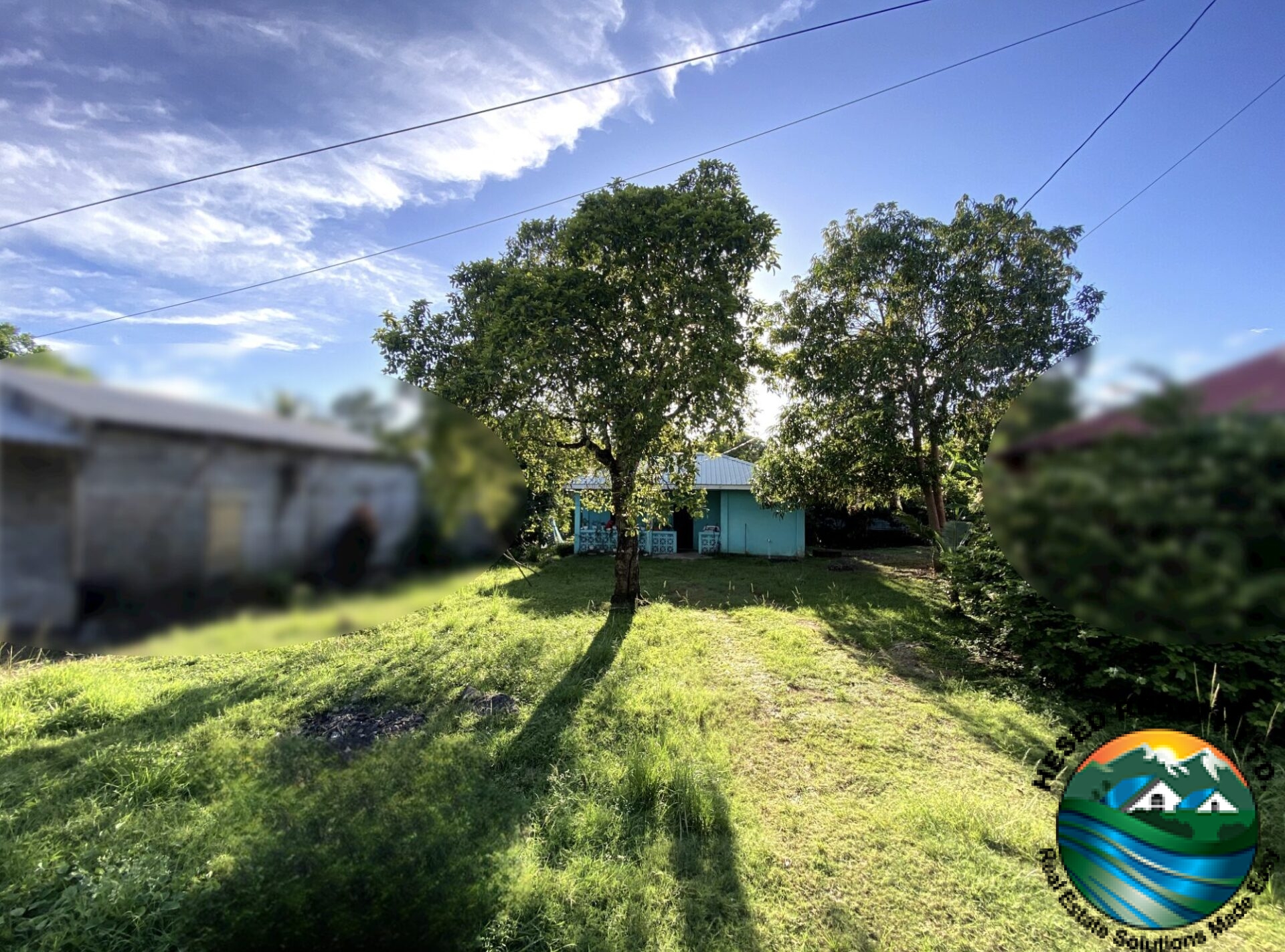 Spacious front yard of family home in Belmopan, Belize, with lush greenery and potential for gardening or outdoor activities.